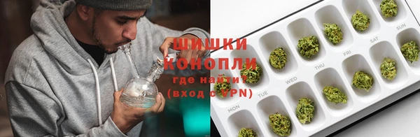 гидропоника Богданович