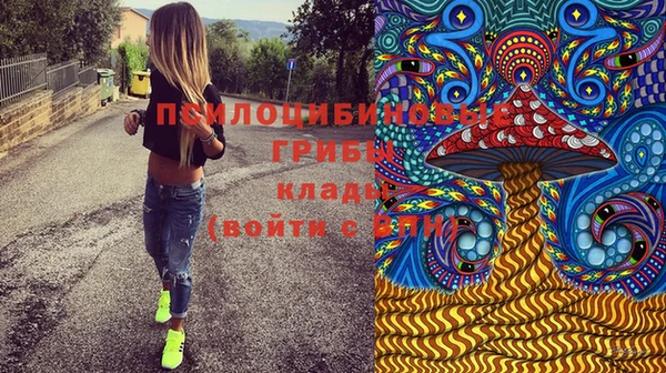 кокс Богородицк