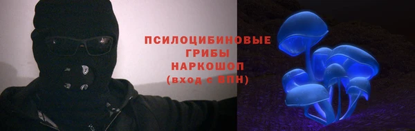 гидропоника Богданович