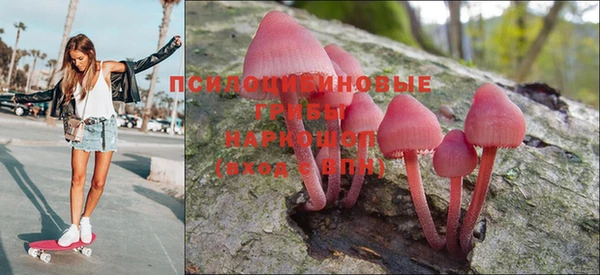 jwh Богородск