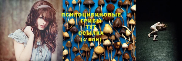 jwh Богородск