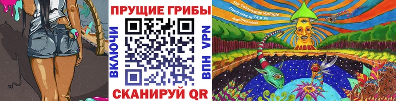 где купить   Заозёрск  Галлюциногенные грибы Psilocybe 